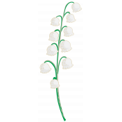 Lily-of-the-valley Flower3
