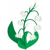Lily-of-the-valley Flower5