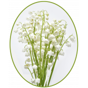 Lily-of-the-valley Flowers7