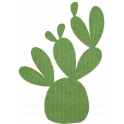 Mystery Cactus