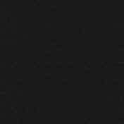 2023 February Blog Train Paw Print Paper Black