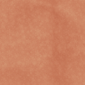 2024 Dec BT Snowflake Solid Tan