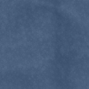 2024 Dec BT Snowflake Solid Navy