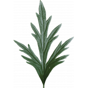 ABM-Sweetheart-Foliage-01