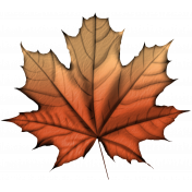 Pumpkin Spice Leaf #2