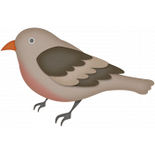 Homestead- bird