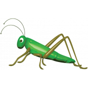 A Bug's World- grasshopper