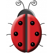 A Bug's World- ladybug #1