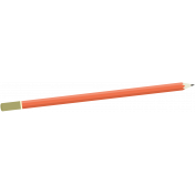 A Bug's World- pencil