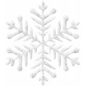 Winter Fun- snowflake 8