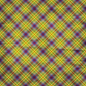 Color Me Plaid 13