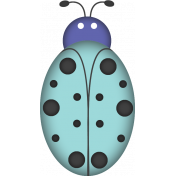 Ladybug3