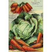 Garden Tales Journal Cards- Cabbage and Carrots 4x6