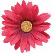 Harvest Pie Flower