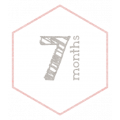 Baby Shower 7 Months Pink Hexagon Tag