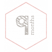 Baby Shower 9 Months Pink Hexagon Tag