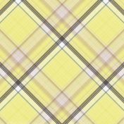 New Day Plaid Paper 04