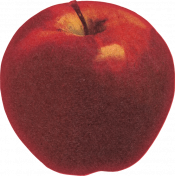 Orchard Traditions Red Apple