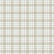 Warm n Woodsy Plaid Paper
