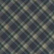 Warm n Woodsy Plaid Paper 08