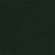 Warm n Woodsy Dark Green Solid Paper