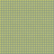 Delightful Days Gingham Paper