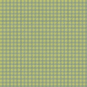 Delightful Days Gingham Paper