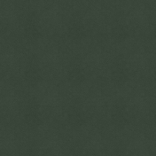 Delightful Days Solid Paper- Dark Green