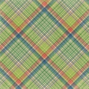 Veggie Table Plaid Paper- 08