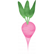 Veggie Table Elements- Radish