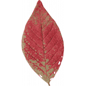 Old Farmhouse Red Leaf