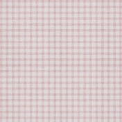 The Whole Story Mini Pink Gingham Paper