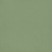 Lavender Fields Green Solid Paper