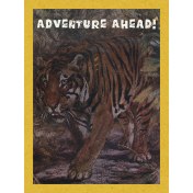 Into the Wild Adventure Awaits Journal Card 3x4