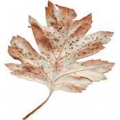 Autumn Bramble Faded Leaf