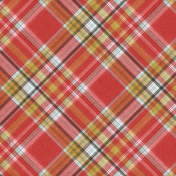 Positively Happy Plaid Paper 11