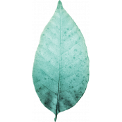 My Tribe Teal Leaf