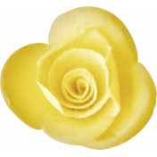 Nesting Yellow Rose Flower