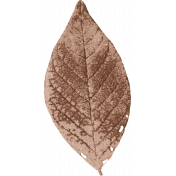 Nesting Brown Leaf