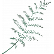 Vintage Memories: Genealogy Green Fern