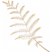 Vintage Memories: Genealogy Beige Fern