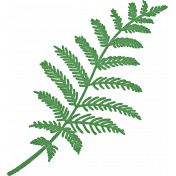 Retro Picnic Green Fern