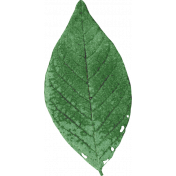 Retro Picnic Green Leaf