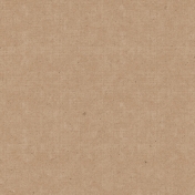 Nantucket Feeling {Sail Away} Solid Paper Beige