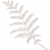 Cherish Cream Fern