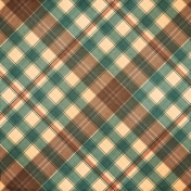 Mulled Cider Plaid Paper 02