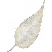 Apricity Leaf