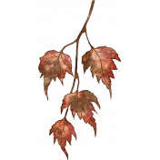 Rustic Honeymoon Leaf Branch