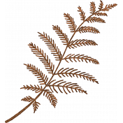 Rustic Wedding Brown Fern