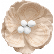 Let's Fika Cream Flower 